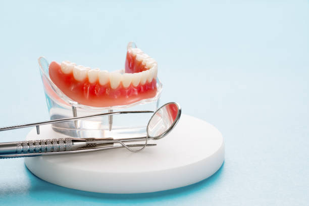 Best Dental Exams and Cleanings  in Bushnell, FL